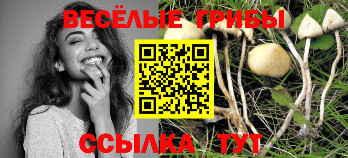 Псилоцибиновые грибы MAGIC MUSHROOMS Братск